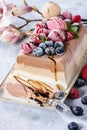 Three layers ice cream cake Royalty Free Stock Photo