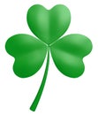 Three-leaf clover Royalty Free Stock Photo