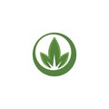 three leaf logo design. green leaf eco logo template - vector. Royalty Free Stock Photo