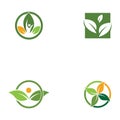 three leaf logo design. green leaf eco logo template - vector. Royalty Free Stock Photo