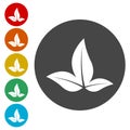 Three leaf logo. Natural plant symbol