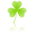 Three-leafed clover