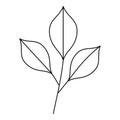 Three leafs icon, outline style