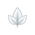 Three Leaves Delicate Illustration Nature Design Floral Element Branch Royalty Free Stock Photo