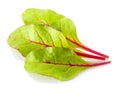 Three leaves of salad on white. Chard