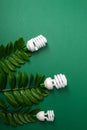 Three LED lamp with green leaf, ECO energy concept, close up. Light bulb on grey background. Saving and Ecological Environment. C Royalty Free Stock Photo