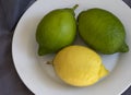 Three Lemons on a plate
