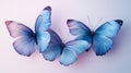 Three Light Blue Butterflies on White Background Royalty Free Stock Photo