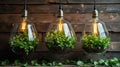 Three light bulbs filled with plants hanging against a wooden background Royalty Free Stock Photo