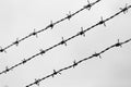 Three lines of barbed wire along the border with dramatic effect Royalty Free Stock Photo
