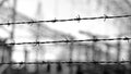 Three lines of barbed wire to demarcate the border during the wa Royalty Free Stock Photo