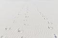 Three lines of human steps at sand Royalty Free Stock Photo