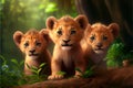 Three lion cubs playing in the forest