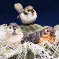 Three little beautiful birdies Royalty Free Stock Photo