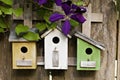 Three little birdhouses with Clematis Royalty Free Stock Photo