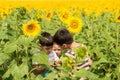 Three little boys consider insects walking on the sunflowers fie