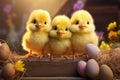 Three little chickens are sitting in a basket with Easter eggs Royalty Free Stock Photo