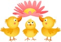 Three little chicks with flower Royalty Free Stock Photo