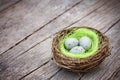 Three little eggs in bird nest Royalty Free Stock Photo