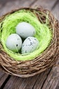 Three little eggs in bird nest Royalty Free Stock Photo