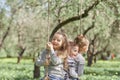 Three little friends sitting on a swing in the garden on a spring day. Royalty Free Stock Photo