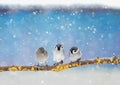 Three little funny Sparrow birds are sitting in the winter holiday new year Park under the snowfall