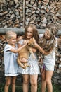 Three little girls petting a red cat outdoors, standing on the background of stacked firewoods. Concept photo of pet Royalty Free Stock Photo