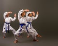 Three karate girls Royalty Free Stock Photo