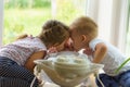 Three little Kids play near the window. Brothers and sister with the baby.Toddler kid meeting newborn sibling. Children