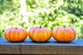 Three little pumpkins Royalty Free Stock Photo