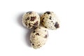 Three Quail spotted eggs, isolated on a white background Royalty Free Stock Photo