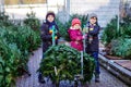 Three little siblings: toddler girl and two kids boys holding Christmas tree on market. Happy children in winter clothes Royalty Free Stock Photo