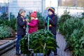 Three little siblings: toddler girl and two kids boys holding Christmas tree on market. Happy children in winter clothes Royalty Free Stock Photo