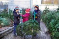 Three little siblings: toddler girl and two kids boys holding Christmas tree on market. Happy children in winter clothes Royalty Free Stock Photo