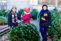 three little siblings: toddler girl and two kids boys holding Christmas tree on market. Happy children in winter clothes Royalty Free Stock Photo