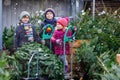 Three little siblings: toddler girl and two kids boys holding Christmas tree on market. Happy children in winter clothes Royalty Free Stock Photo