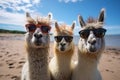 Three llamas in sunglasses take a selfie on the beach. Beach holiday, vacation concept. Generated by artificial Royalty Free Stock Photo