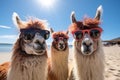 Three llamas in sunglasses take a selfie on the beach. Beach holiday, vacation concept. Generated by artificial Royalty Free Stock Photo