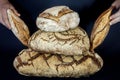 Three Loafs or miches of French sourdough, called as well as Pain de campagne, piled and held by hands on a black background.