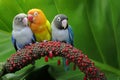 Three lovebirds are perched on the weft of the anthurium flower.