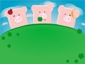 Three lucky pigs