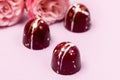 Three Luxury Bonbons Painted with White Colors on Pink background Beautiful and Exclusive Handmade chocolate Candy and Roses