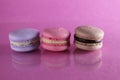 Three macaroons lilac brown chocolate lavender pink lie in a row on a pink fuchsia-colored background with reflection and a place