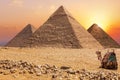 Three main Pyramids of Giza and a camel at sunset, Egypt Royalty Free Stock Photo