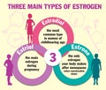 Three main types of estrogen. Infographics. Estradiol, estrone and estriol. Estrogen hormone levels chart, menopause
