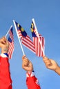 Three malaysia flag