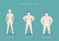 three male body types. Vector illustration decorative design Royalty Free Stock Photo