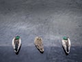 Three mallard ducks, two male and one female. One of the males is watching the others sleep. Jealousy maybe. Keeping an Royalty Free Stock Photo