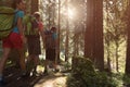 Three man and woman walking along hiking trail path in forest woods during sunny day. Group of friends people summer Royalty Free Stock Photo