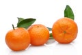 Three mandarin Royalty Free Stock Photo